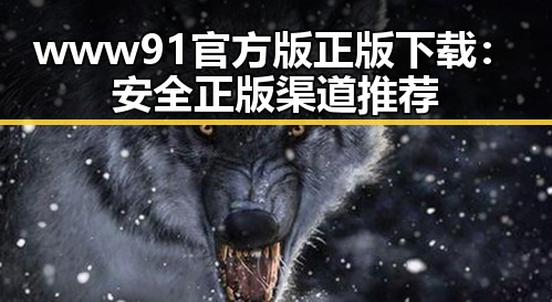 www91官方版正版下载：安全正版渠道推荐