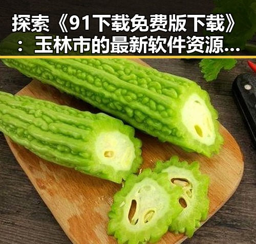 探索《91下载免费版下载》：玉林市的最新软件资源指南
