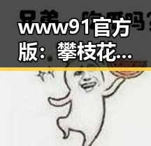 www91官方版：攀枝花市最全面的资讯平台之一