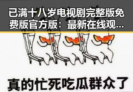 已满十八岁电视剧完整版免费版官方版：最新在线观看指南