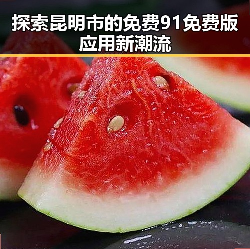 探索昆明市的免费91免费版应用新潮流
