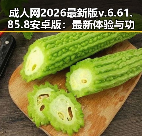 成人网2026最新版v.6.61.85.8 安卓版：最新体验与功能升级解析