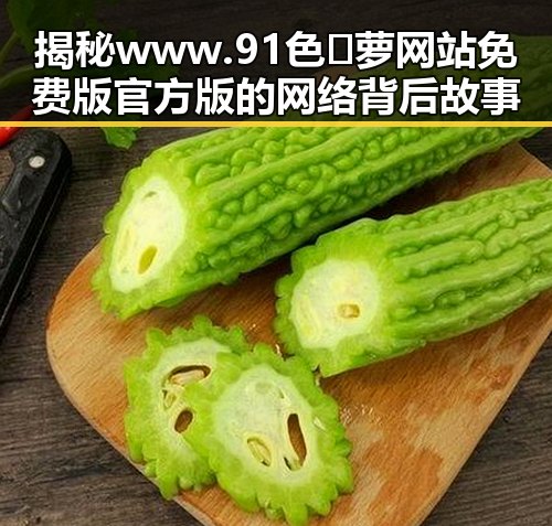 揭秘www.91色😍萝网站免费版官方版的网络背后故事