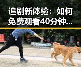 追剧新体验：如何免费观看40分钟大片的电视剧免费版下载
