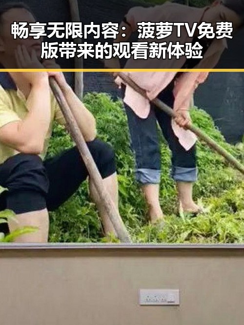 畅享无限内容：菠萝TV免费版带来的观看新体验