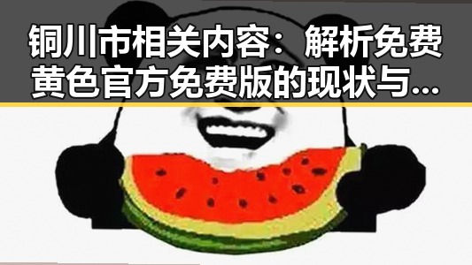 铜川市相关内容：解析免费黄色官方免费版的现状与趋势