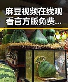 麻豆视频在线观看官方版免费版：探索其现状与发展趋势