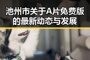 池州市关于A片免费版的最新动态与发展