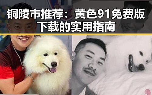 铜陵市推荐：黄色91免费版下载的实用指南