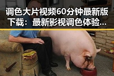 调色大片视频60分钟最新版下载：最新影视调色体验全解析