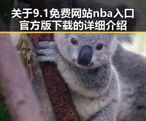 关于9.1免费网站nba入口官方版下载的详细介绍