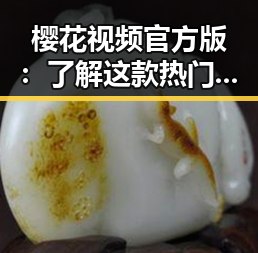 樱花视频官方版：了解这款热门视频平台的最新动态