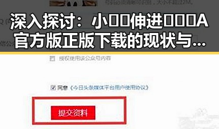 深入探讨：小🐔🐔伸进🈲🔞🔞A官方版正版下载的现状与争议