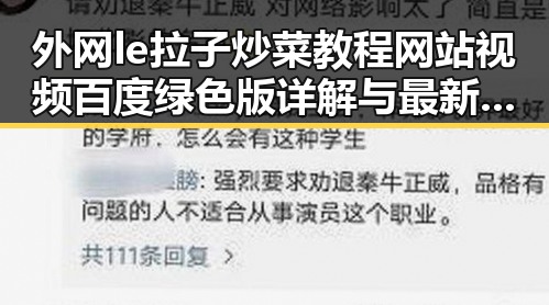 外网le拉子炒菜教程网站视频百度绿色版详解与最新动态