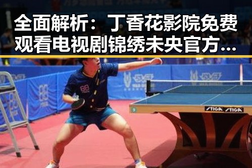 全面解析：丁香花影院免费观看电视剧锦绣未央官方版的观看体验与资源优势