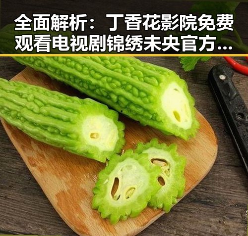 全面解析：丁香花影院免费观看电视剧锦绣未央官方版的观看体验与资源优势
