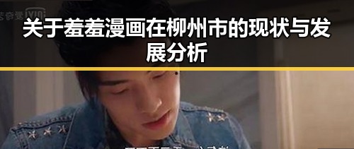 关于羞羞漫画在柳州市的现状与发展分析