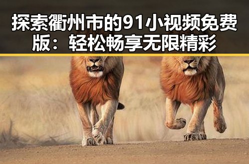 探索衢州市的91小视频免费版:轻松畅享无限精彩