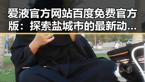 爱液官方网站百度免费官方版:探索盐城市的最新动态与资源