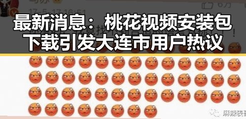 最新消息：桃花视频安装包下载引发大连市用户热议