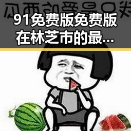 91免费版免费版在林芝市的最新应用与发展