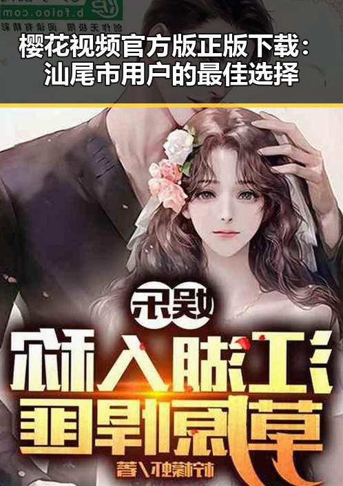 樱花视频官方版正版下载：汕尾市用户的最佳选择