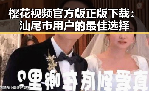 樱花视频官方版正版下载：汕尾市用户的最佳选择