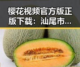 樱花视频官方版正版下载：汕尾市用户的最佳选择