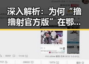 深入解析：为何“撸撸射官方版”在鄂州市受欢迎？