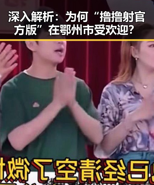 深入解析：为何“撸撸射官方版”在鄂州市受欢迎？