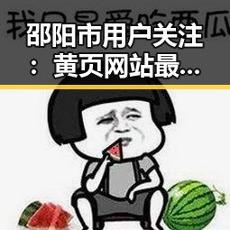 邵阳市用户关注：黄页网站最新版下载详细指南