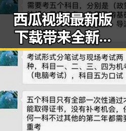 西瓜视频最新版下载带来全新体验,衡水市用户纷纷关注