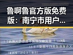 鲁啊鲁官方版免费版：南宁市用户的理想选择