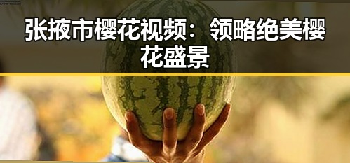 张掖市樱花视频：领略绝美樱花盛景