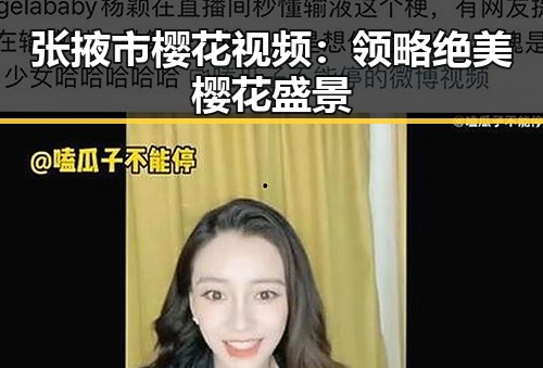 张掖市樱花视频：领略绝美樱花盛景
