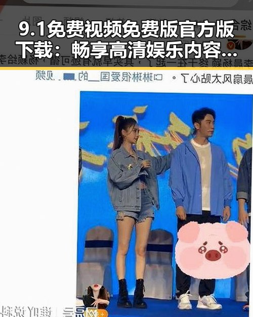 9.1免费视频免费版官方版下载：畅享高清娱乐内容的全新体验