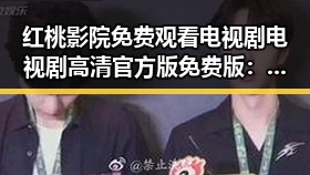 红桃影院免费观看电视剧电视剧高清官方版免费版：最新观影体验分析