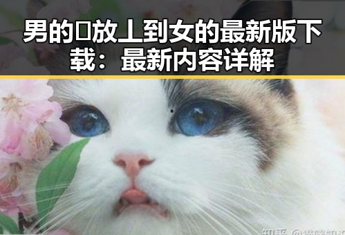男的🈚放丄到女的最新版下载：最新内容详解