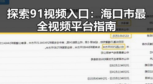 探索91视频入口：海口市最全视频平台指南