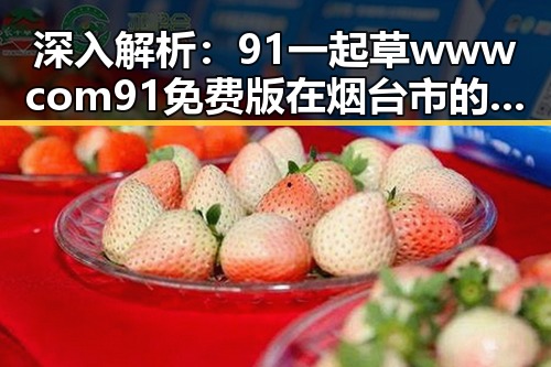 深入解析：91 一起草wwwcom91免费版在烟台市的独特优势与发展