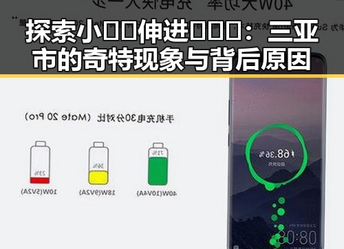 探索小🐔🐔伸进🈲🔞🔞：三亚市的奇特现象与背后原因