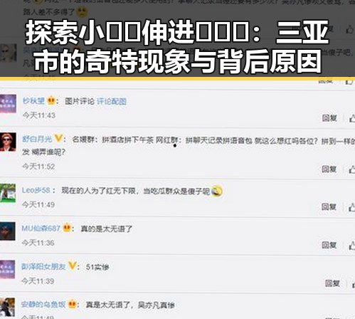 探索小🐔🐔伸进🈲🔞🔞:三亚市的奇特现象与背后原因