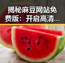 揭秘麻豆网站免费版：开启高清娱乐新体验