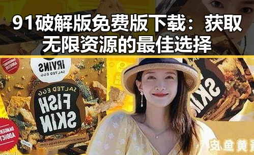 91破解版免费版下载：获取无限资源的最佳选择
