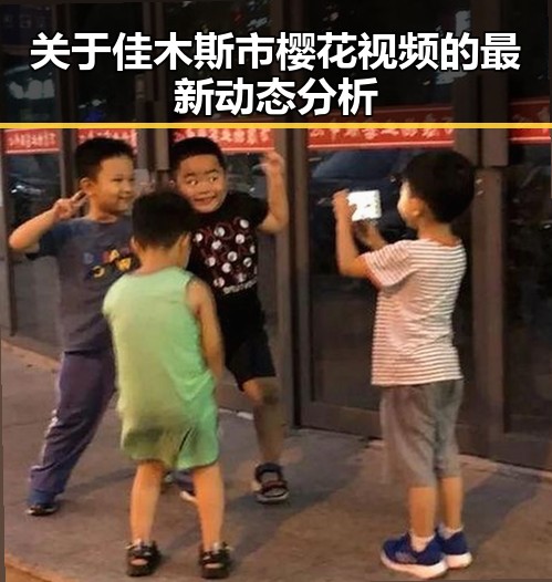 关于佳木斯市樱花视频的最新动态分析