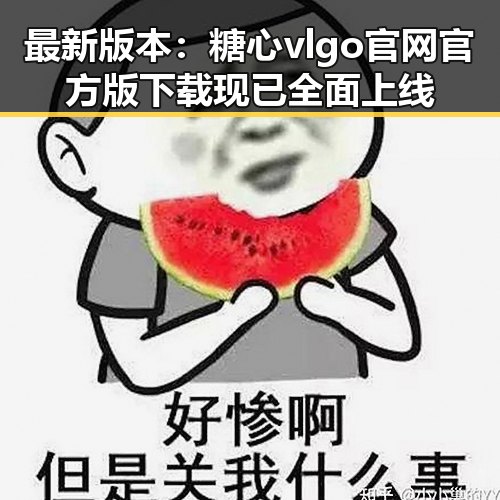 最新版本：糖心vlgo官网官方版下载现已全面上线