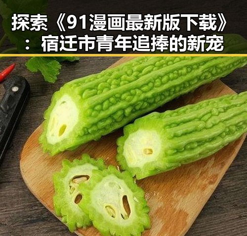 探索《91漫画最新版下载》：宿迁市青年追捧的新宠
