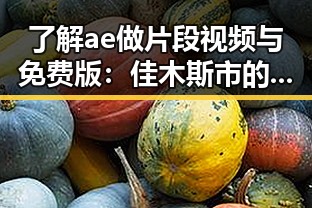 了解ae做片段视频与免费版：佳木斯市的最新应用动态