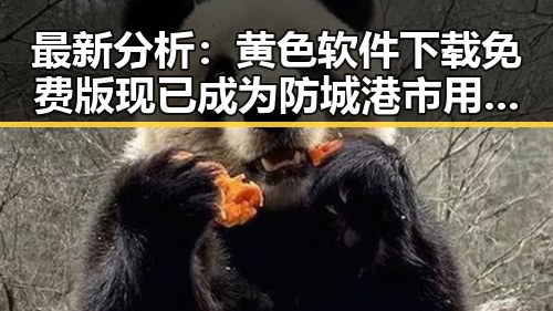 最新分析：黄色软件下载免费版现已成为防城港市用户的热门选择