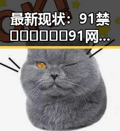 最新现状：91禁🍆🍑🔞❌❌❌91网站免费版的全面解析